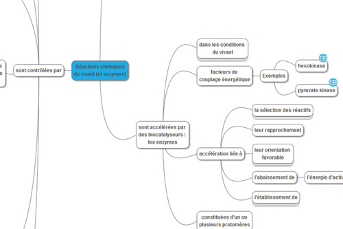 A développer en s'interrogeant oralement